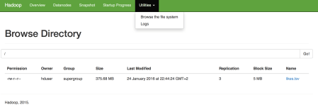 Browsing_HDFS